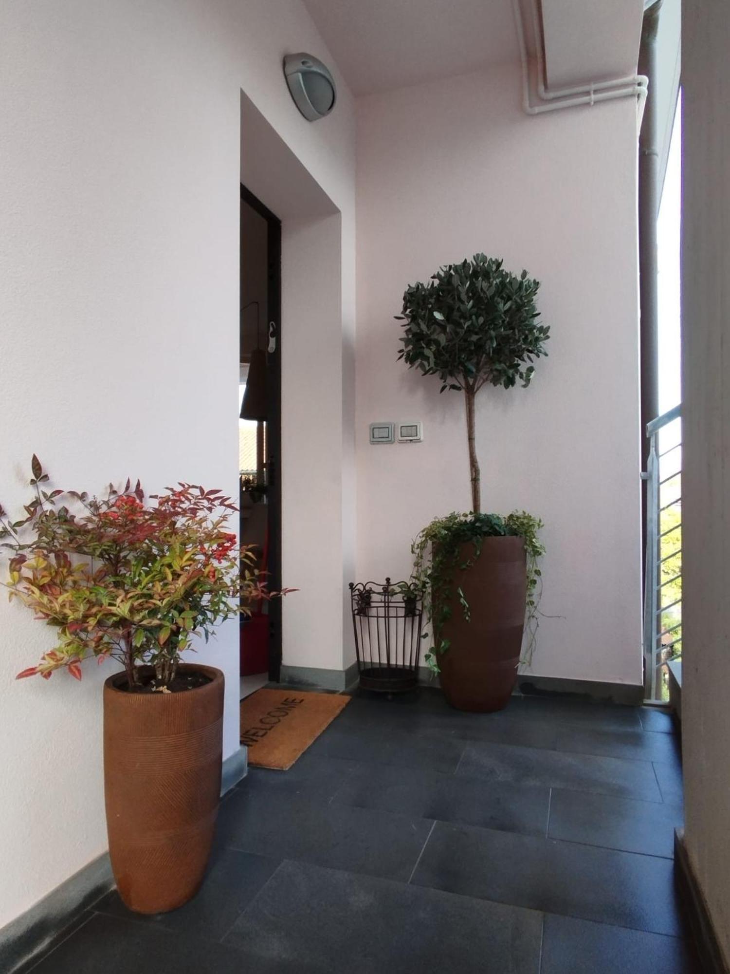 דירות לוקה Casa Degli Aromi מראה חיצוני תמונה